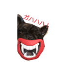 日常良く使う言葉  フレブル（個別スタンプ：7）