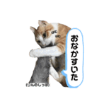RIKU.RIN（個別スタンプ：3）