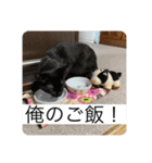 コラボ写真（個別スタンプ：6）