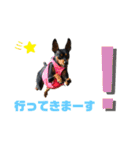 ミニピン☆マメキチ（個別スタンプ：22）