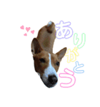 コハルスペシャル！（個別スタンプ：3）
