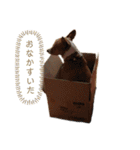 コハルスペシャル！（個別スタンプ：5）