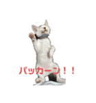 みい＆めいPart 2（個別スタンプ：7）