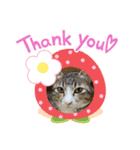 猫たちのサイン（個別スタンプ：4）