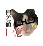 猫ですが何か。（個別スタンプ：22）