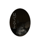 ちんちらのみかんさんパート2（個別スタンプ：17）