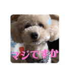 ウチの不思議クンまっしゅ（個別スタンプ：4）