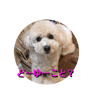 ウチの不思議クンまっしゅ（個別スタンプ：6）