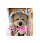 ウチの不思議クンまっしゅ（個別スタンプ：9）