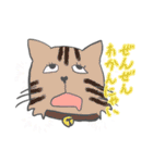 ばんのう猫まつりスタンプ（個別スタンプ：7）
