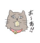 ばんのう猫まつりスタンプ（個別スタンプ：12）