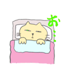 ばんのう猫まつりスタンプ（個別スタンプ：37）
