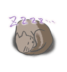 ばんのう猫まつりスタンプ（個別スタンプ：40）