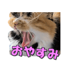 ゆずりんTVスタンプ(みかん編)（個別スタンプ：8）