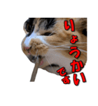 ゆずりんTVスタンプ(みかん編)（個別スタンプ：9）