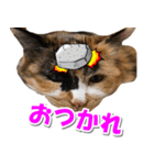 ゆずりんTVスタンプ(みかん編)（個別スタンプ：10）