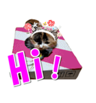 ゆずりんTVスタンプ(みかん編)（個別スタンプ：11）