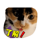 ゆずりんTVスタンプ(みかん編)（個別スタンプ：17）