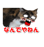 ゆずりんTVスタンプ(みかん編)（個別スタンプ：20）
