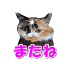 ゆずりんTVスタンプ(みかん編)（個別スタンプ：22）