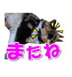 ゆずりんTVスタンプ(みかん編)（個別スタンプ：23）