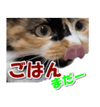 ゆずりんTVスタンプ(みかん編)（個別スタンプ：29）