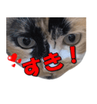 ゆずりんTVスタンプ(みかん編)（個別スタンプ：32）