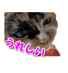 ゆずりんTVスタンプ(みかん編)（個別スタンプ：38）