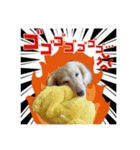 癒し犬ダックス（個別スタンプ：3）