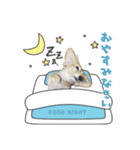 癒し犬ダックス（個別スタンプ：4）