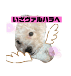 ナラファミリー21（個別スタンプ：5）