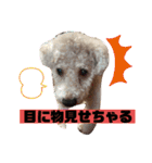 ナラファミリー21（個別スタンプ：9）