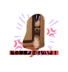 ナラファミリー21（個別スタンプ：10）