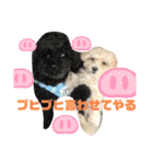 ナラファミリー21（個別スタンプ：11）