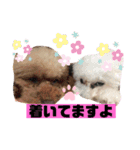 ナラファミリー21（個別スタンプ：15）