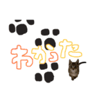 にゃん達！！第二弾！！（個別スタンプ：5）