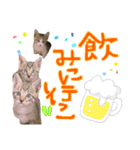 にゃん達！！第二弾！！（個別スタンプ：9）