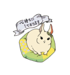 うさぎのそひ【丁寧な言葉】（個別スタンプ：1）
