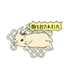 うさぎのそひ【丁寧な言葉】（個別スタンプ：13）