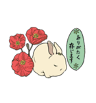 うさぎのそひ【丁寧な言葉】（個別スタンプ：20）