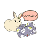 うさぎのそひ【丁寧な言葉】（個別スタンプ：28）