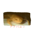 うちのペット！8スタンプ（個別スタンプ：6）