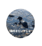 衣の毎日（個別スタンプ：13）