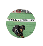 衣の毎日（個別スタンプ：24）