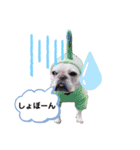 フレブルのアビー（個別スタンプ：2）