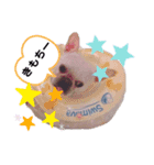 フレブルのアビー（個別スタンプ：3）