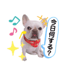 フレブルのアビー（個別スタンプ：8）