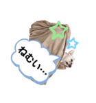 フレブルのアビー（個別スタンプ：9）