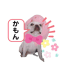 フレブルのアビー（個別スタンプ：12）