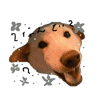 白柴犬諭吉行事（個別スタンプ：8）